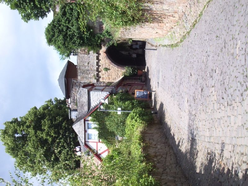 2011- 288.jpg